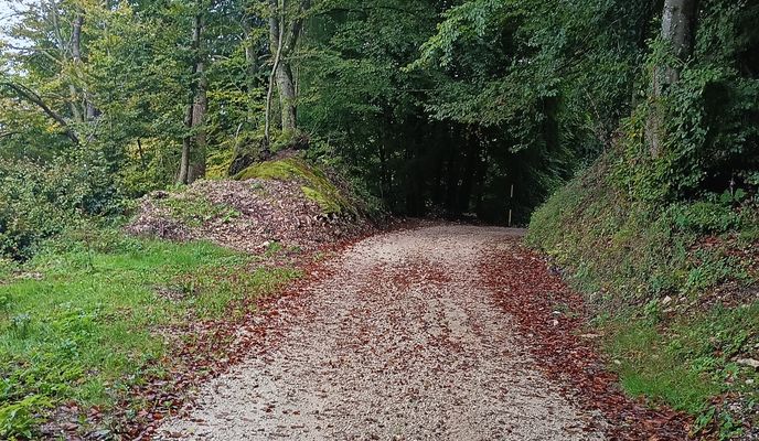 Photo 2 of the Bikemap route "Da Via Papa Luciani a Via Papa Luciani"