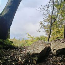 Photo 8 of the Bikemap route "Da Via Papa Luciani a Via Papa Luciani"