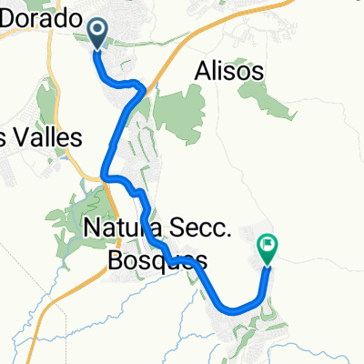 Ruta moderata