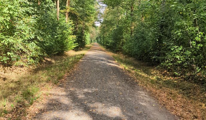Foto 1 der Bikemap-Route "Lange Straße nach Lange Straße"