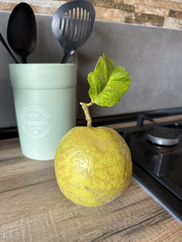 Camino Português - Day 6 | VP de Ancora to Portecelo