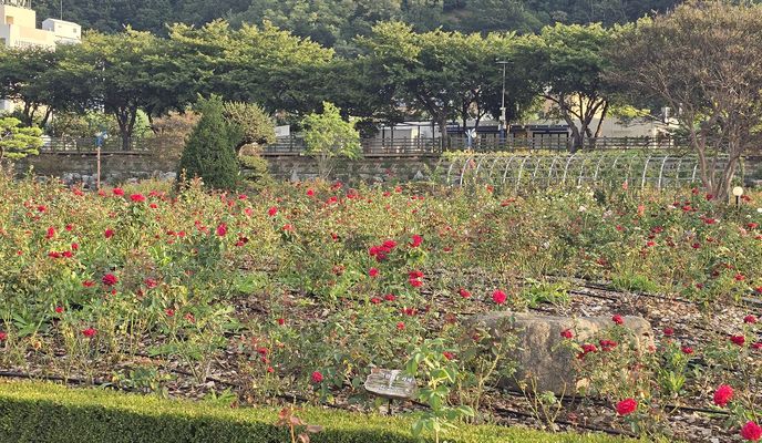 Photo 2 de l’itinéraire Bikemap « 삼척 라이팅 »