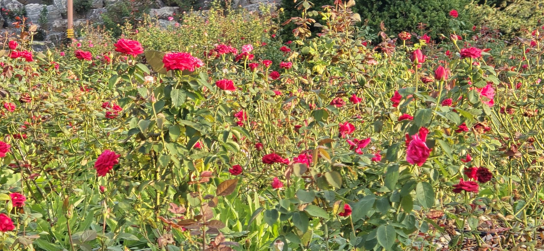 삼척 라이팅
