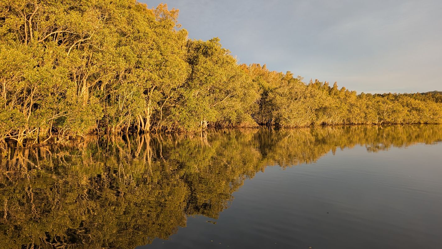 Weston Street to Weston Street