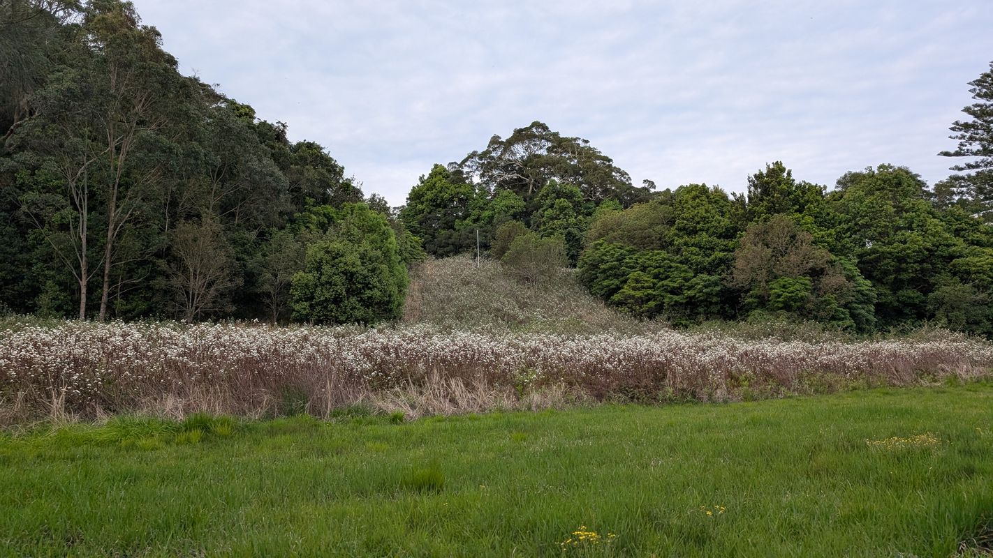 Weston Street to Weston Street