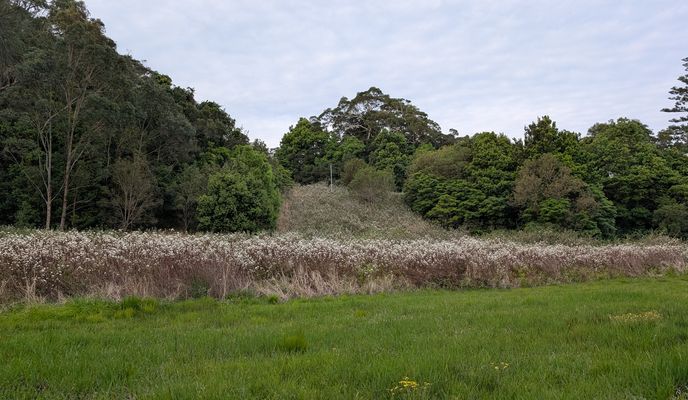 Weston Street to Weston Street