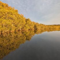 Foto 7 del percorso Bikemap "Weston Street to Weston Street"