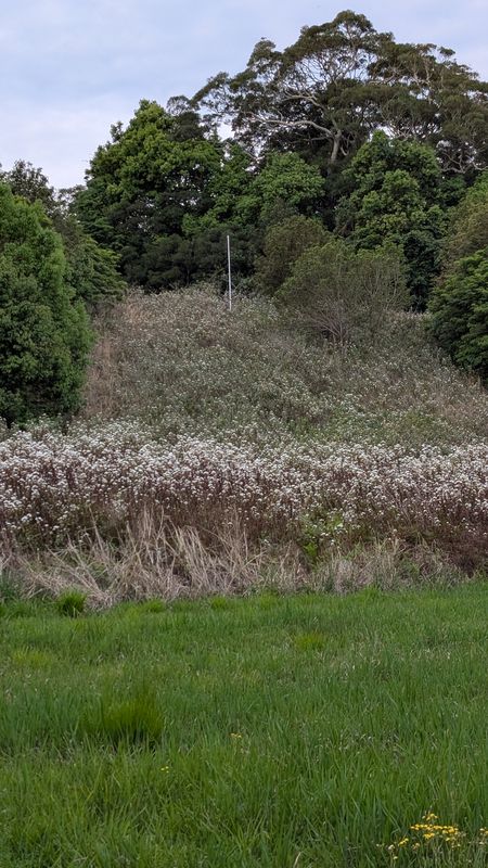 Weston Street to Weston Street