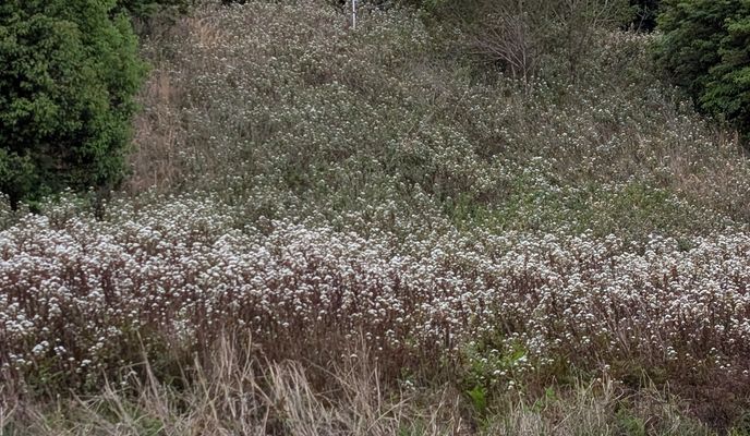 Foto 2 del percorso Bikemap "Weston Street to Weston Street"