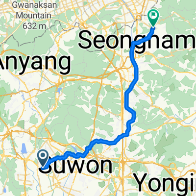 고고싱싱잉