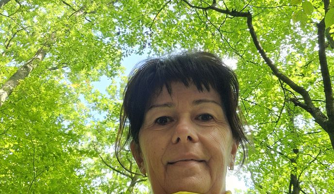 Photo 1 of the Bikemap route "Na vinohrady do Trenčín"