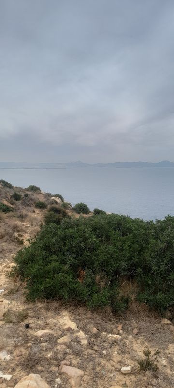korbous