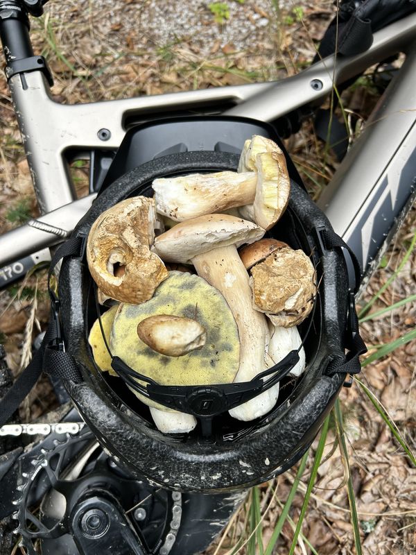 Slovany, Slovany až Slovany, Slovany