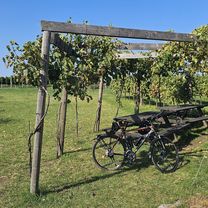 Foto 8 de la ruta de Bikemap "Falkenstein"