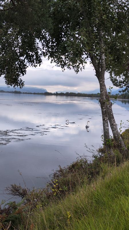 4. Tag  St. Oswald zum Klopeiner See