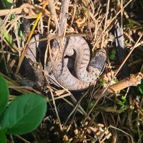 Zdjęcie 8 trasy Bikemap „Ringstraße nach Marktplatz”