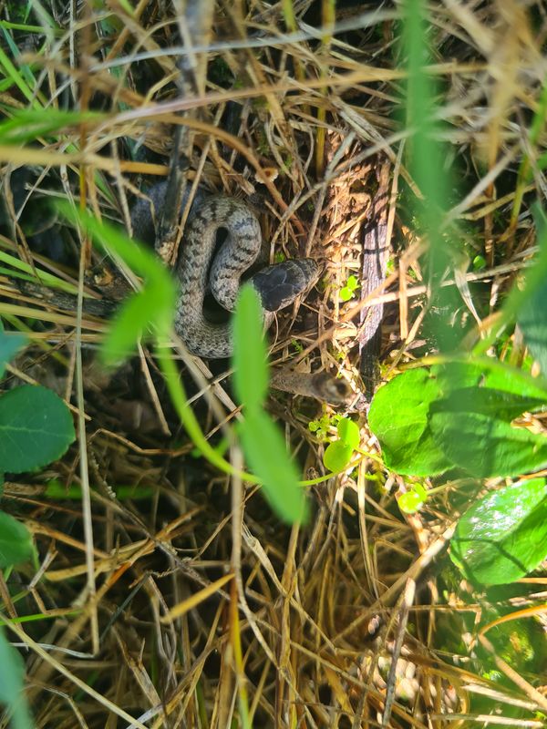 Ringstraße nach Marktplatz