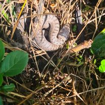 Zdjęcie 7 trasy Bikemap „Ringstraße nach Marktplatz”