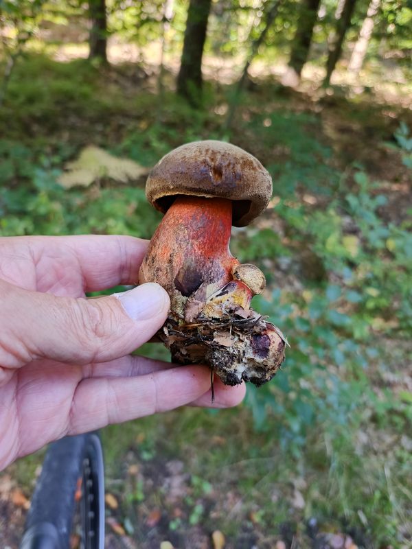 Stefana Roweckiego do gen. Stefana Grota Roweckiego 20A