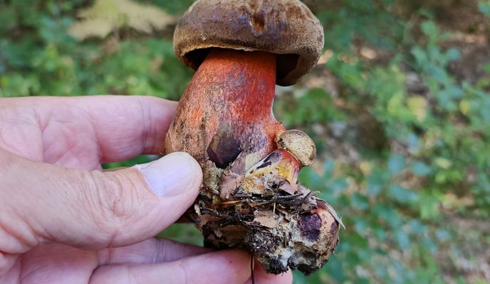 Foto 1 de la ruta de Bikemap "Stefana Roweckiego do gen. Stefana Grota Roweckiego 20A"