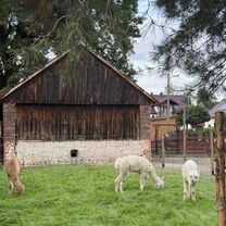 Zdjęcie 7 trasy Bikemap „Bernardyńska, Kalwaria Zebrzydowska do Kołowa, Kraków”