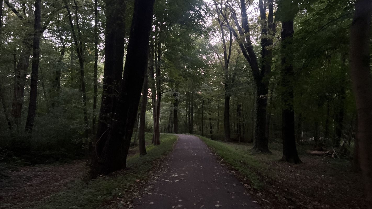 Vom-Stein-Straße, Cottbus nach Thiemstraße, Cottbus