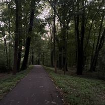 Zdjęcie 7 trasy Bikemap „Vom-Stein-Straße, Cottbus nach Thiemstraße, Cottbus”