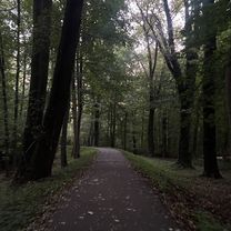 Vom-Stein-Straße, Cottbus nach Thiemstraße, Cottbus