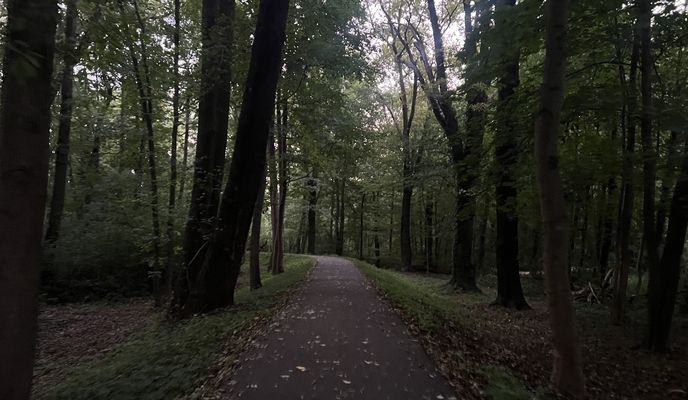 Zdjęcie 1 trasy Bikemap „Vom-Stein-Straße, Cottbus nach Thiemstraße, Cottbus”