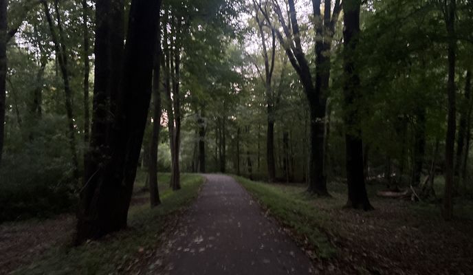 Zdjęcie 2 trasy Bikemap „Vom-Stein-Straße, Cottbus nach Thiemstraße, Cottbus”