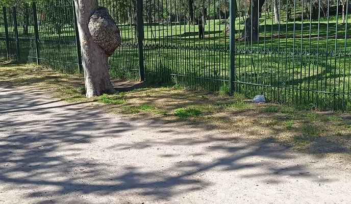 Foto 1 del percorso Bikemap "Ruta moderada 1"