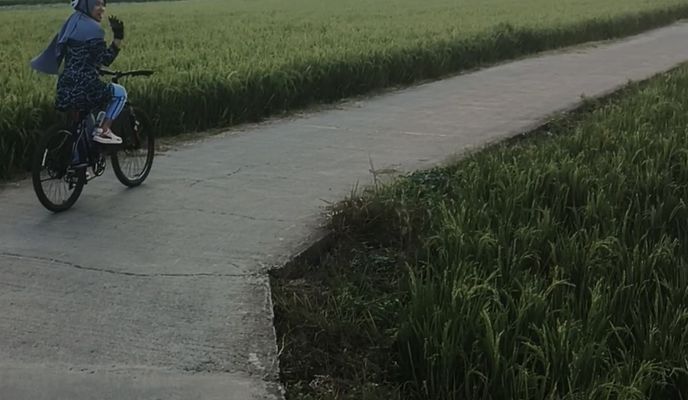 Photo 1 of the Bikemap route "gowes"