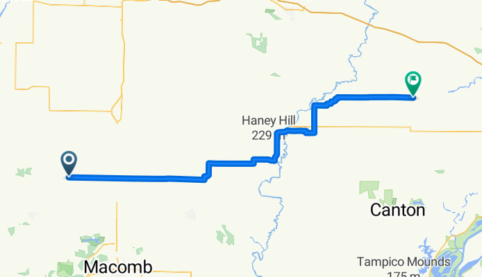 La Harpe - Elmwood