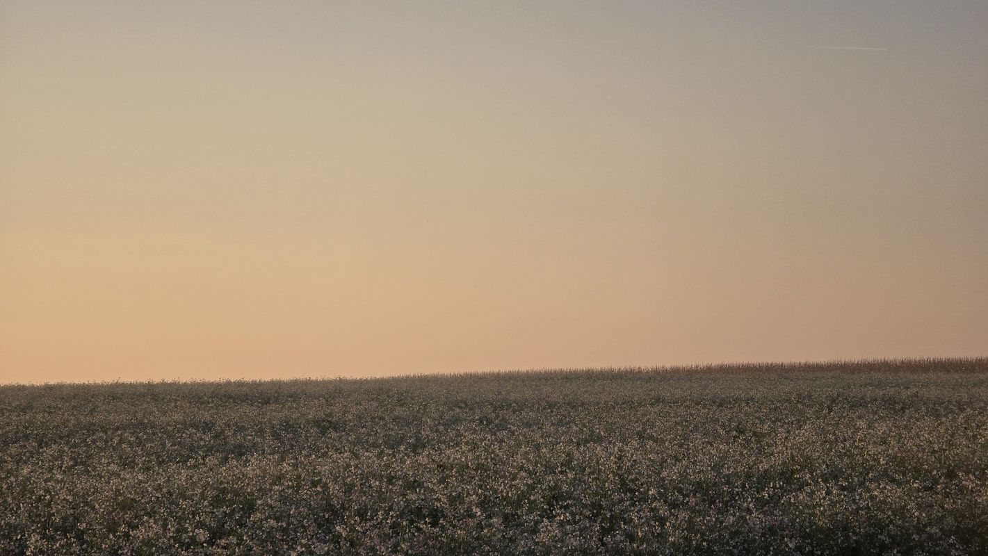 Dünenweg 2A nach Dünenweg 2A