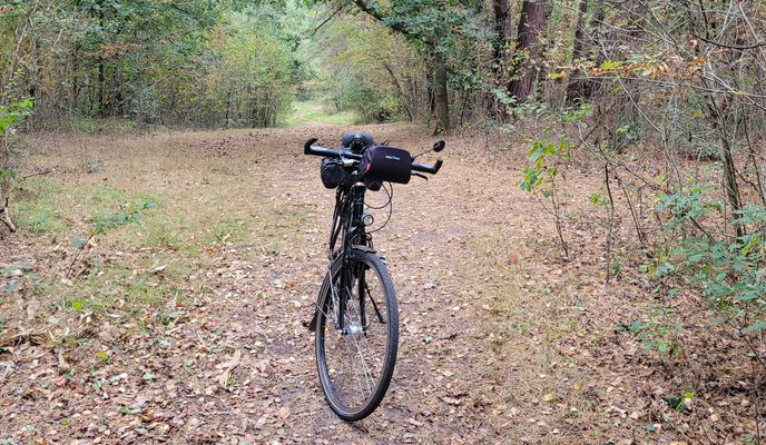 Foto 1 del percorso Bikemap "Herbsttour"