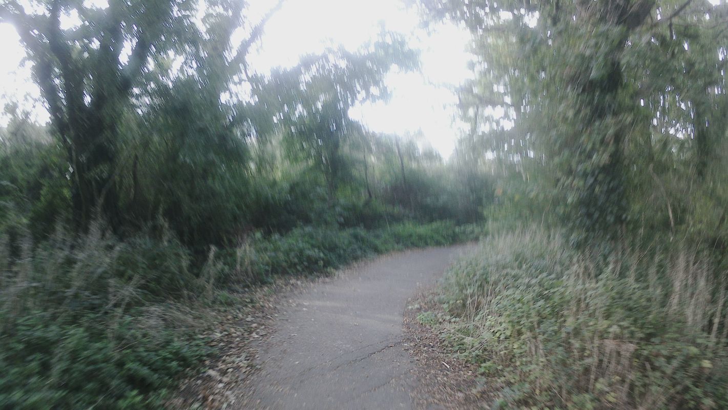 Polegate, Eastbourne front, Pevensey and back, 22m
