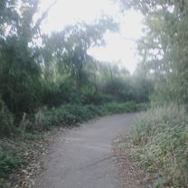 Polegate, Eastbourne front, Pevensey and back, 22m