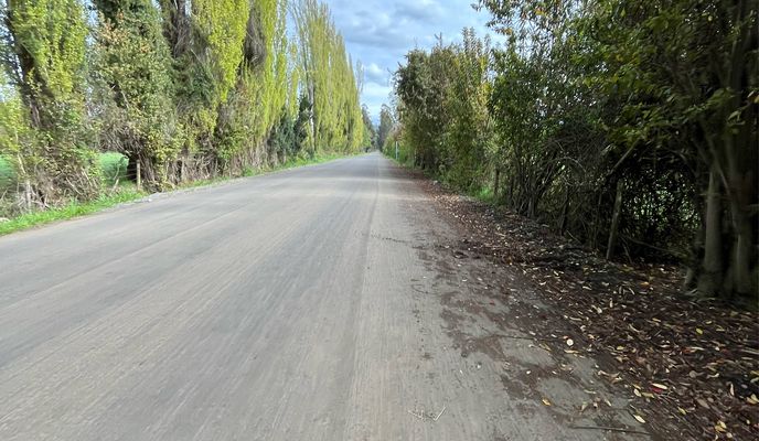 Photo 1 de l’itinéraire Bikemap « Pitrufquén Oriente, Pitrufquén a Manuel Rodríguez, Pitrufquén »
