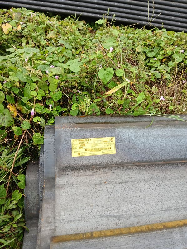 취암동 516-31Ph0]으로 라우팅