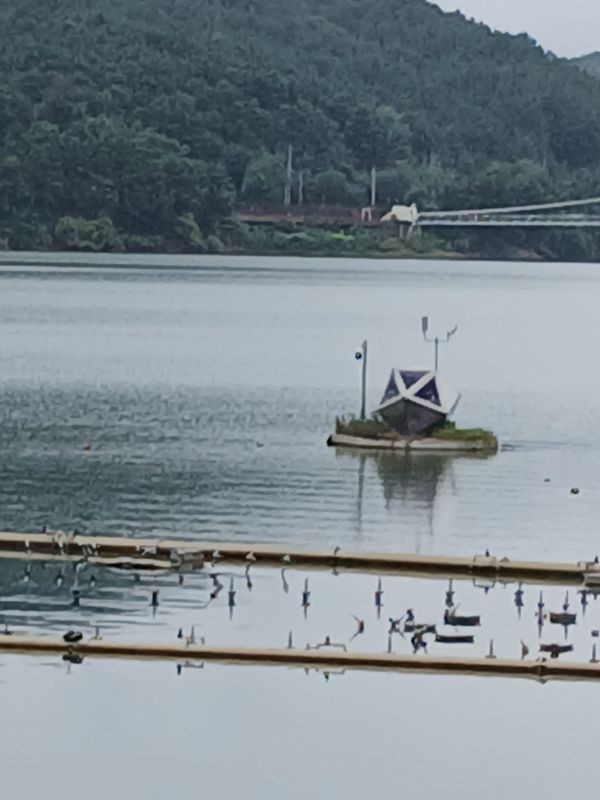 취암동 516-31Ph0]으로 라우팅