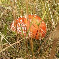 Photo 8 de l’itinéraire Bikemap « Cez Lubicku Dolinu. »