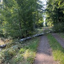 Lindenstraße, Haldensleben nach Lindenstraße, Haldensleben