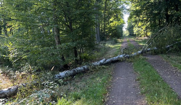 Foto 1 der Bikemap-Route "Lindenstraße, Haldensleben nach Lindenstraße, Haldensleben"