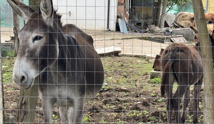 Photo 1 de l’itinéraire Bikemap « Viale dei Sanniti, Morcone a Via dei Caudini, Morcone »
