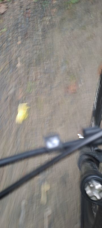 Geschwister-Scholl-Straße to Geschwister-Scholl-Straße