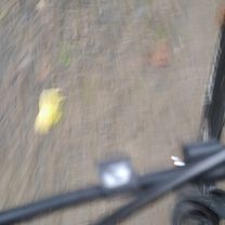 Geschwister-Scholl-Straße to Geschwister-Scholl-Straße