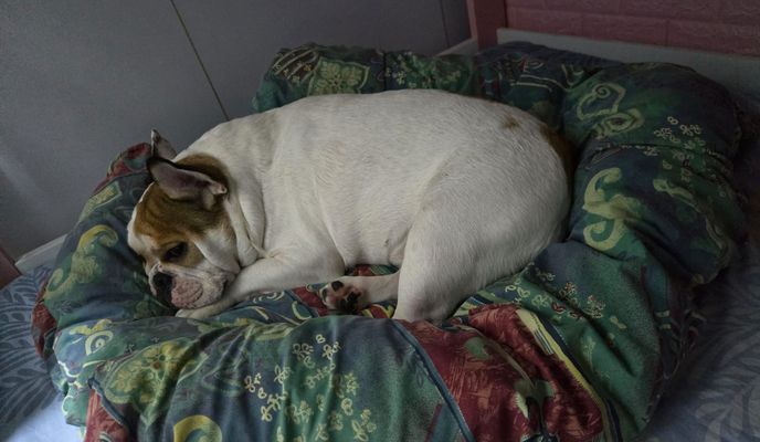 Photo 1 of the Bikemap route "My home"