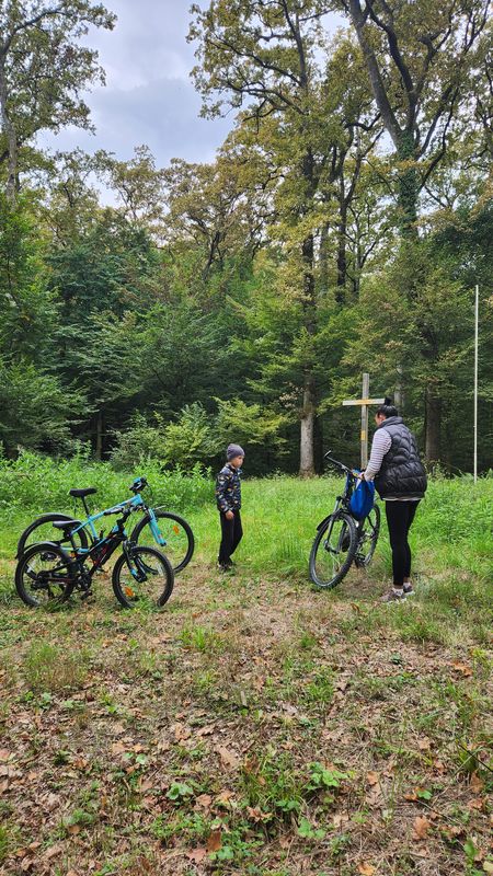 От Ulica Franje Tuđmana до Ulica Svetog Jana