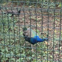 От улица Яна Полуяна до улица Яна Полуяна