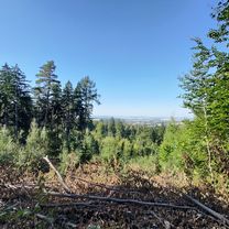 al. 艣w. Anny do al. 艣w. Anny